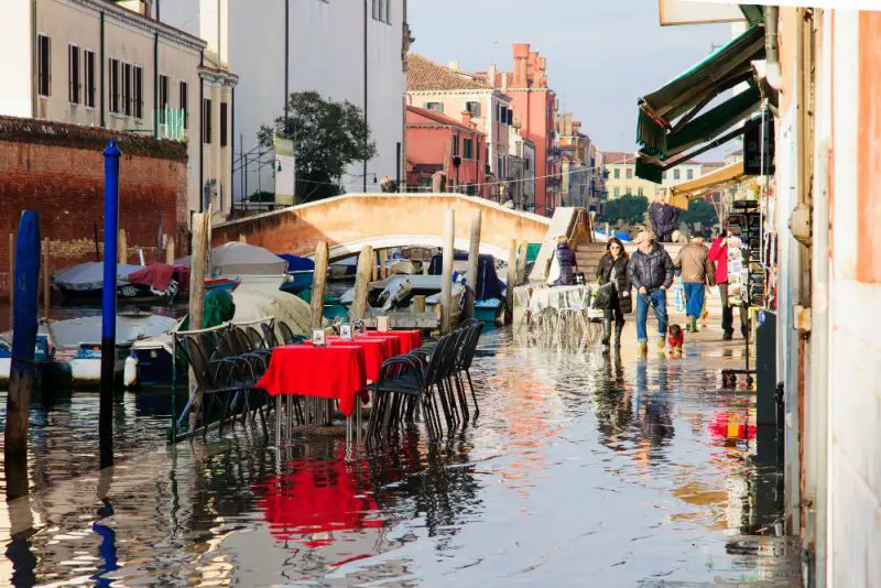 Venice: markets, bars, concerts, and gardens that only Venetians know